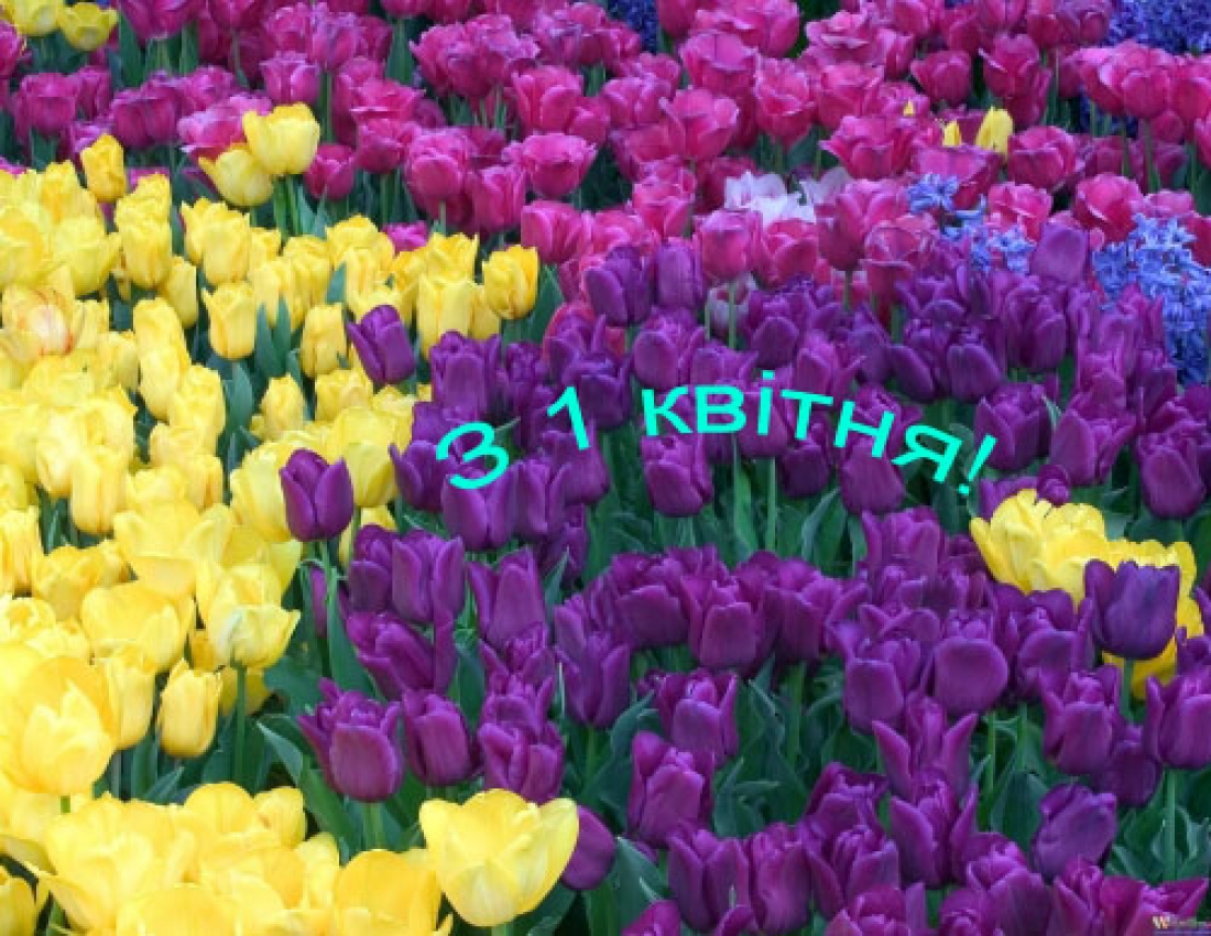 З Днем сміху!!!