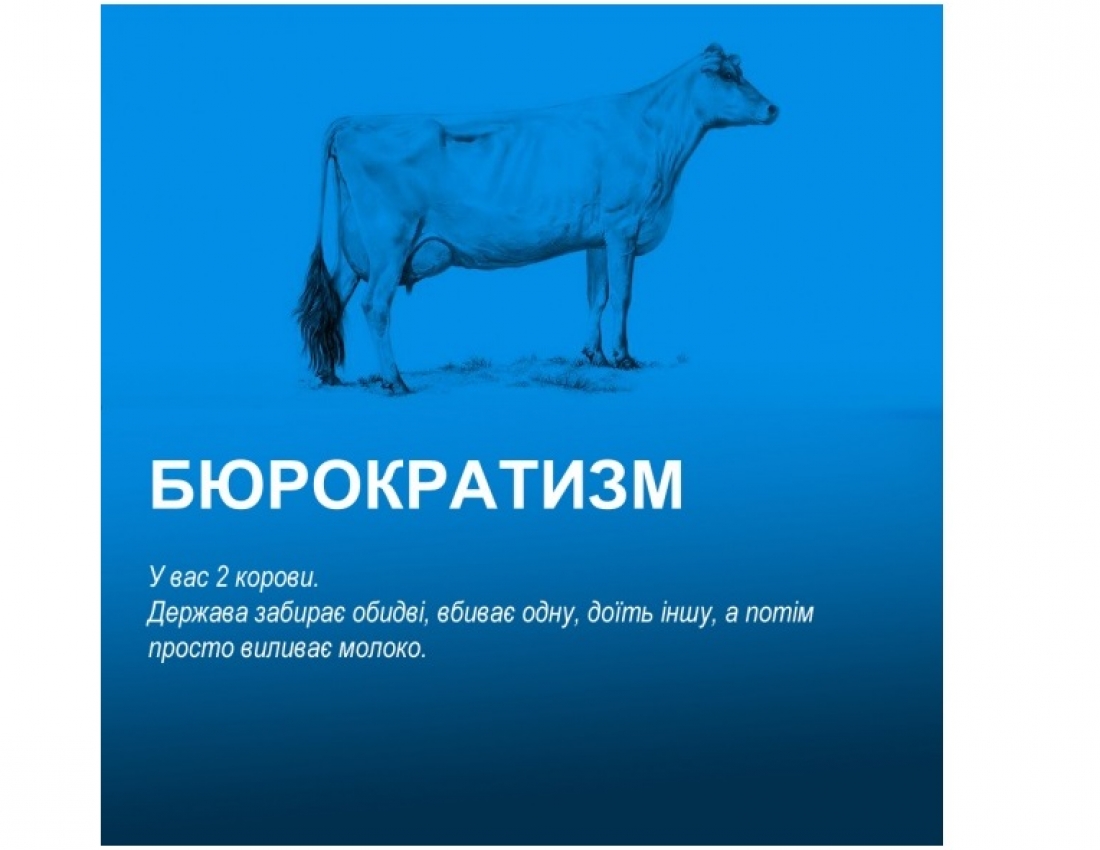 Економіка і корови: кумедна інфографіка