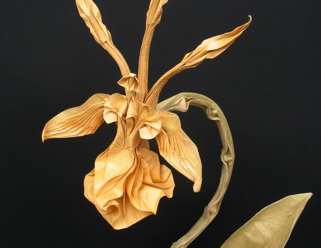 Орігамі-мистецтво, що вдихає життя ...