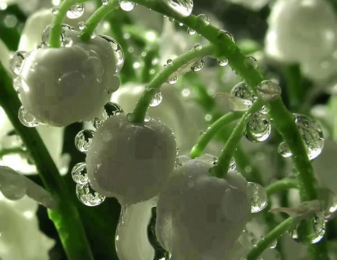 Краса навколо нас...