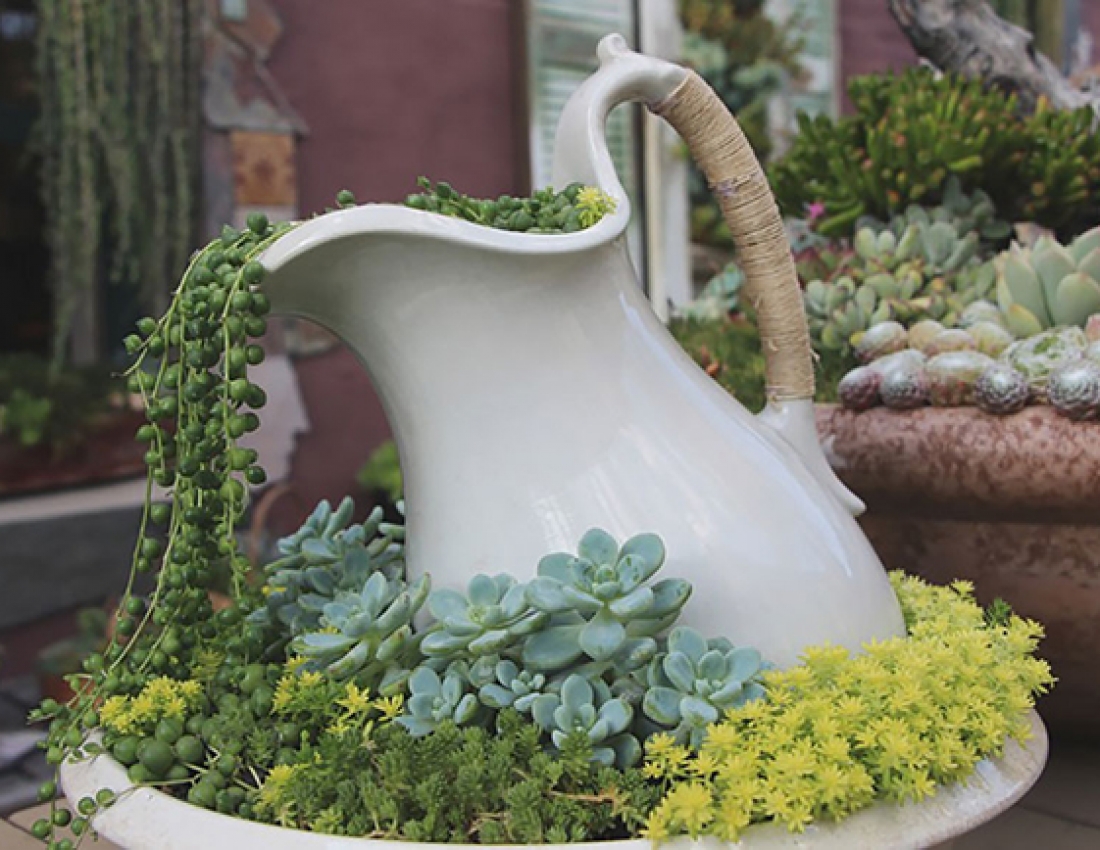 Квітуча ріка - молочні береги...