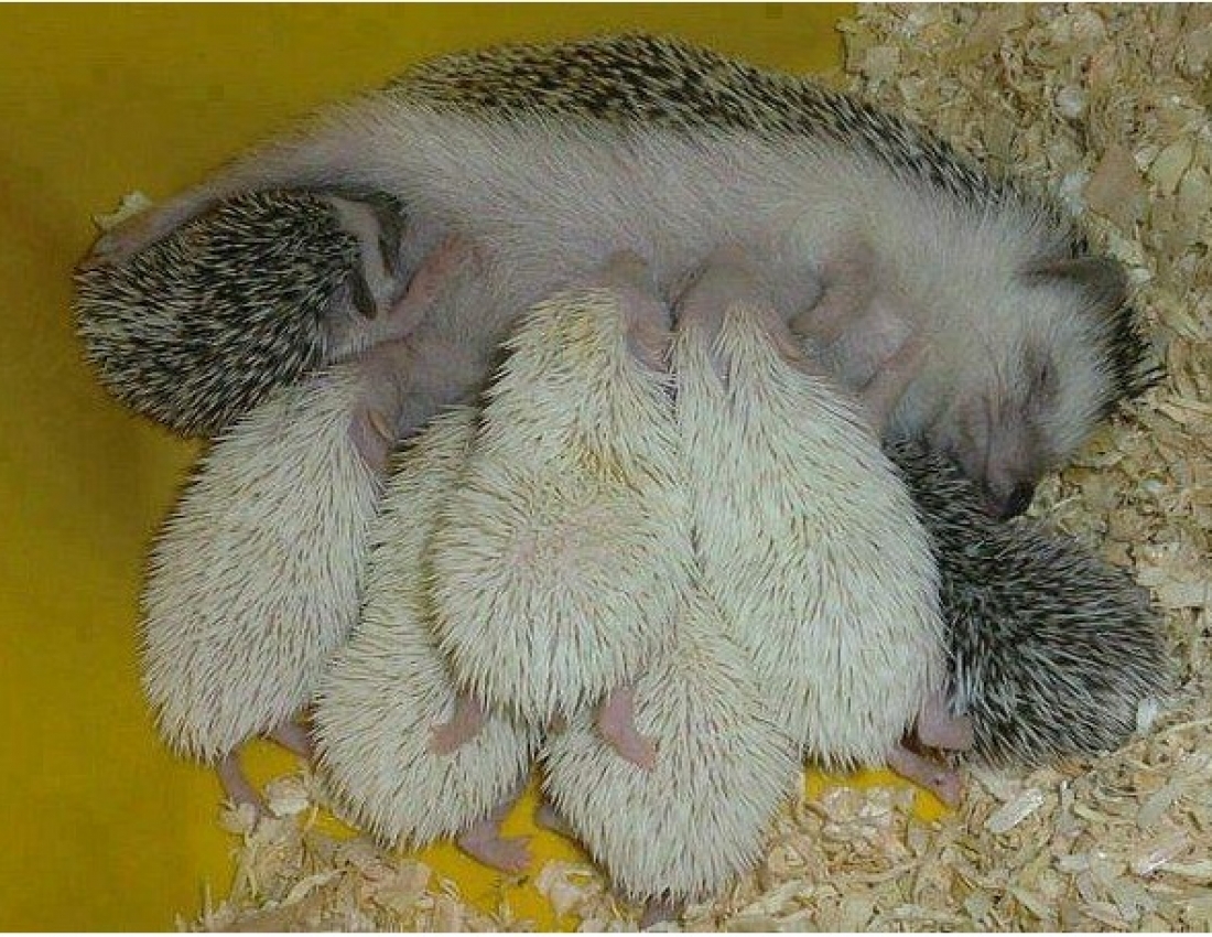 Та, кого не можна не любити... МАМА...