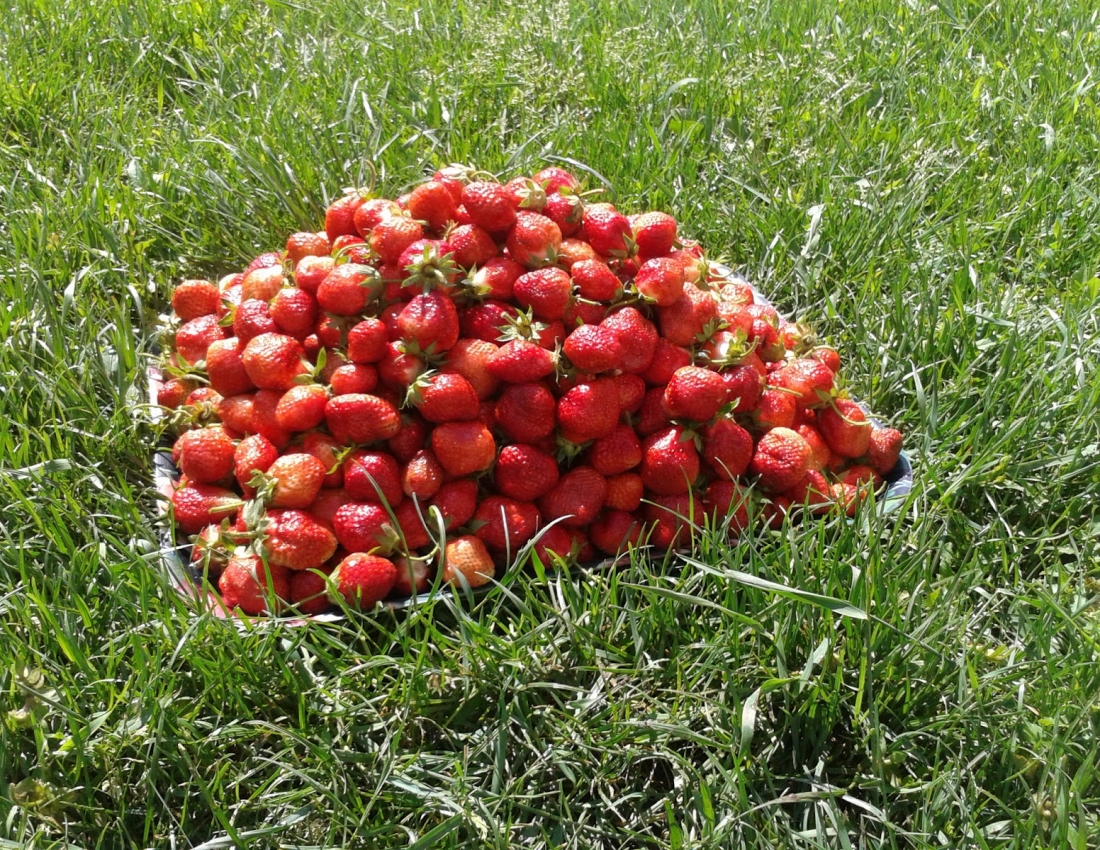 Вітамінне підкріплення. Уже зовсім СКОРО!!!