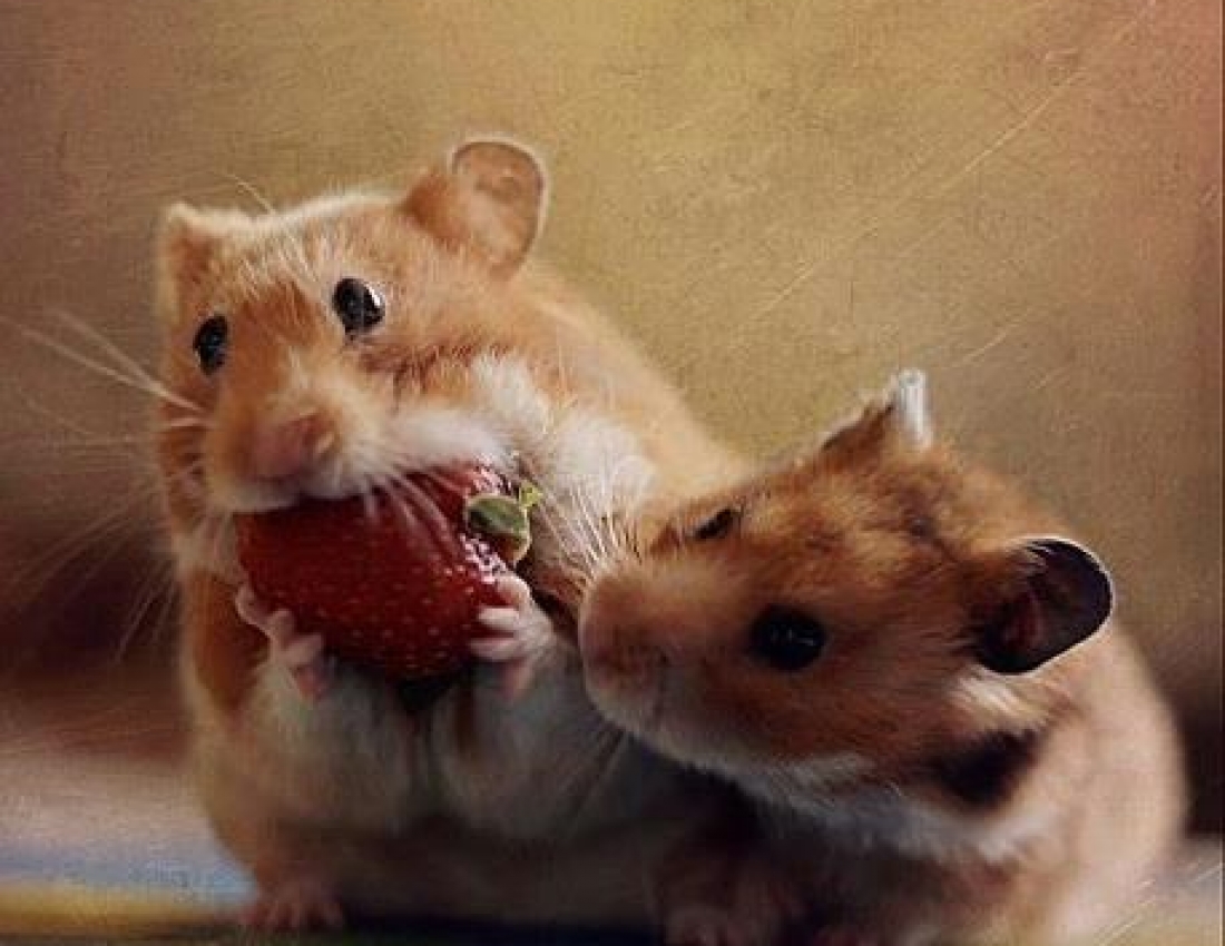 Цікавий світ природи - 3