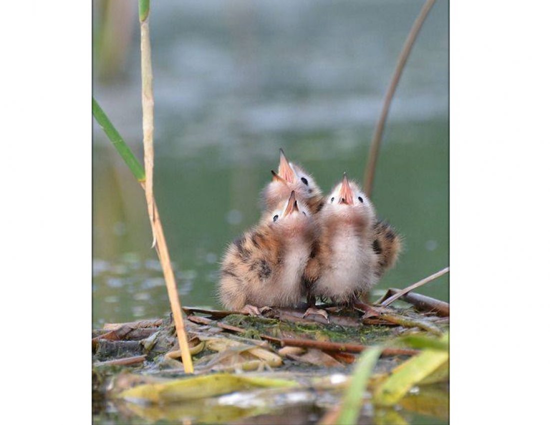 Скоро новорічні корпоративи...