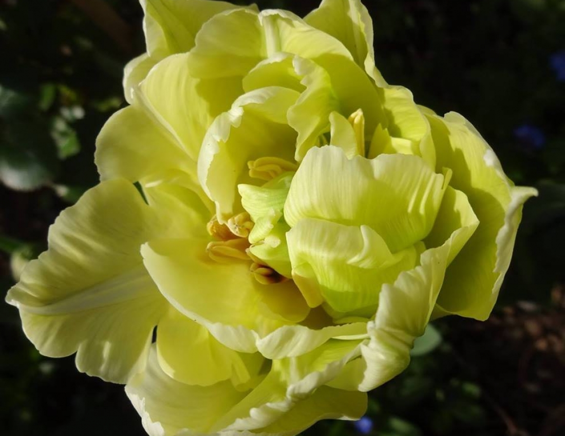 Ніяке ВВП не може змінити краси нашого світу! Гарного Вам дня!