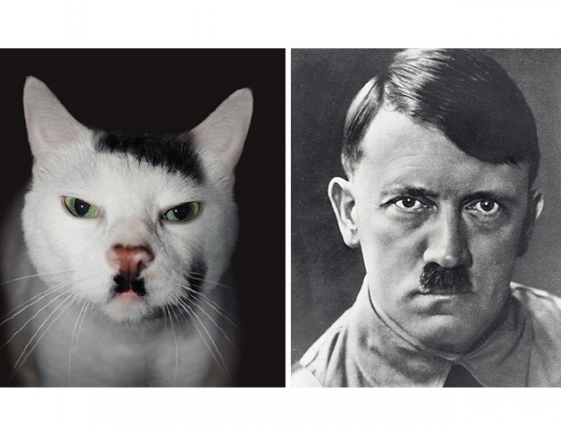 Дивовижна схожість ... :-)