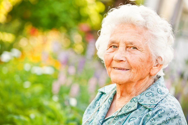 ФОТО ТИЖНЯ - 28.02.2017р. 