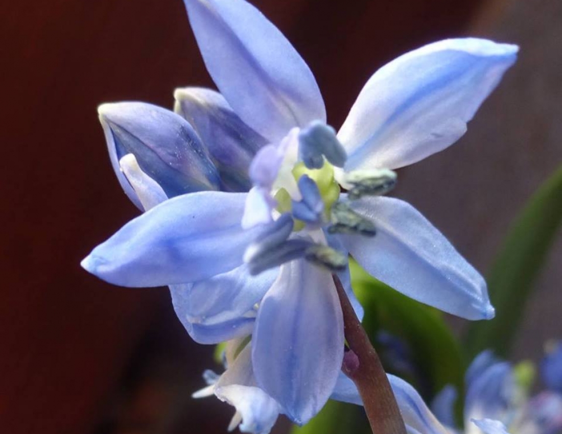 Ніяке ВВП не може змінити краси нашого світу! Гарного Вам дня!