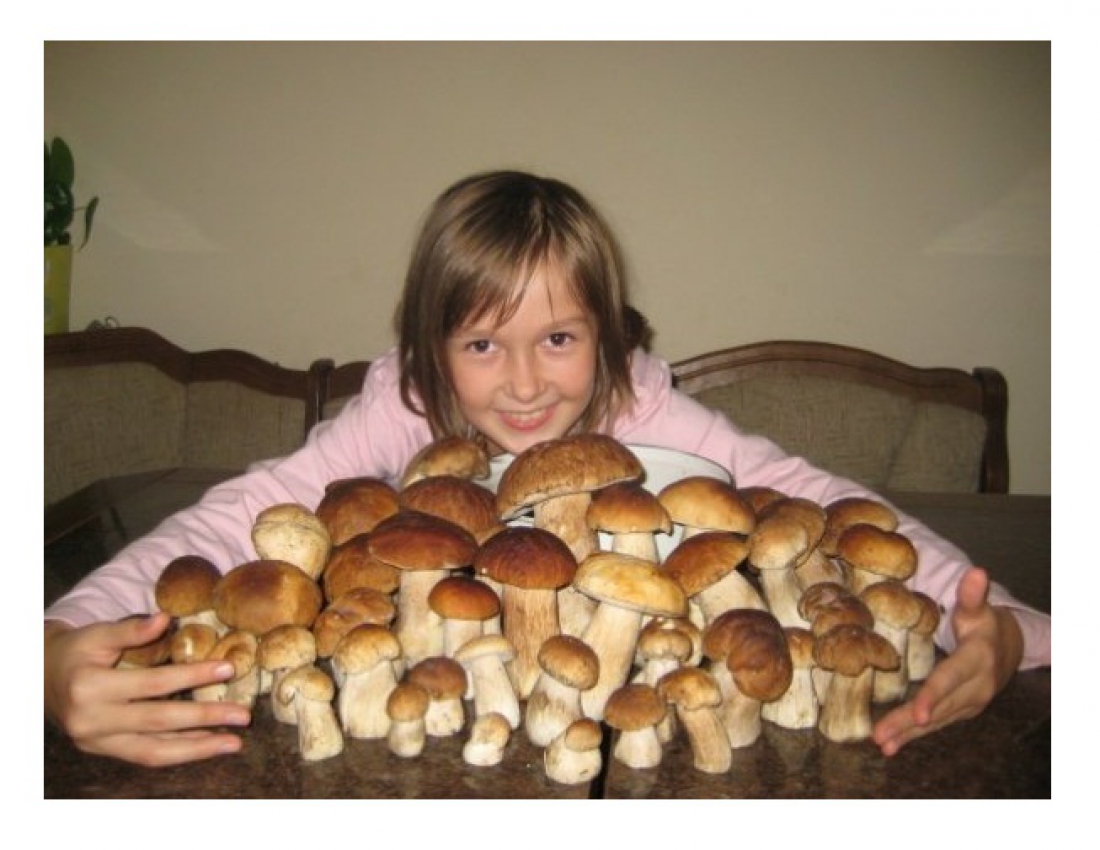 Невеличка сімейка :-)