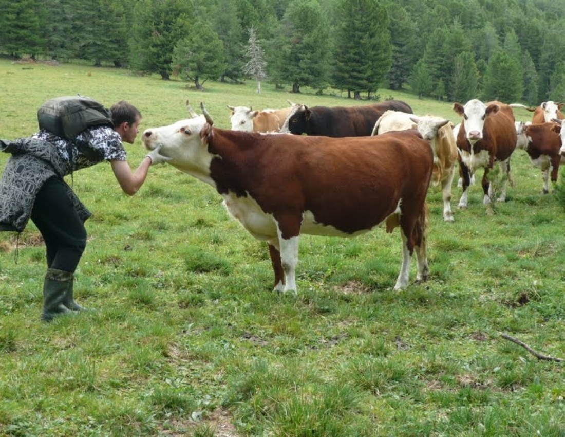 Ти рогата, і я рогата!!!