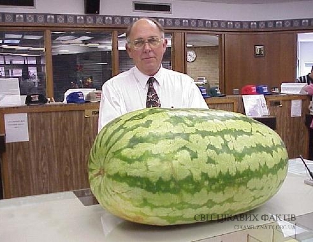 Щедра осінь прийшла!..Багаті людям ВРОЖАЇ принесла!!!