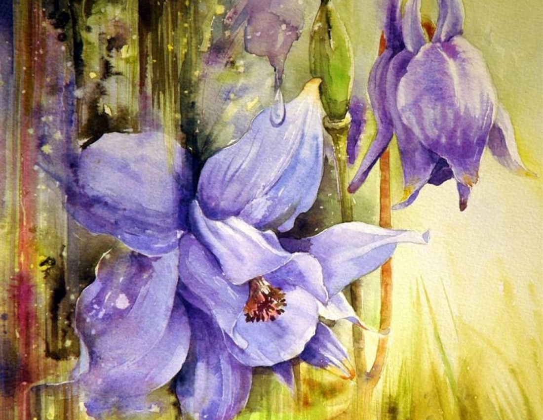 Квіткова ніжність. Акварелі  MARIE CLAIRE MOUDRU