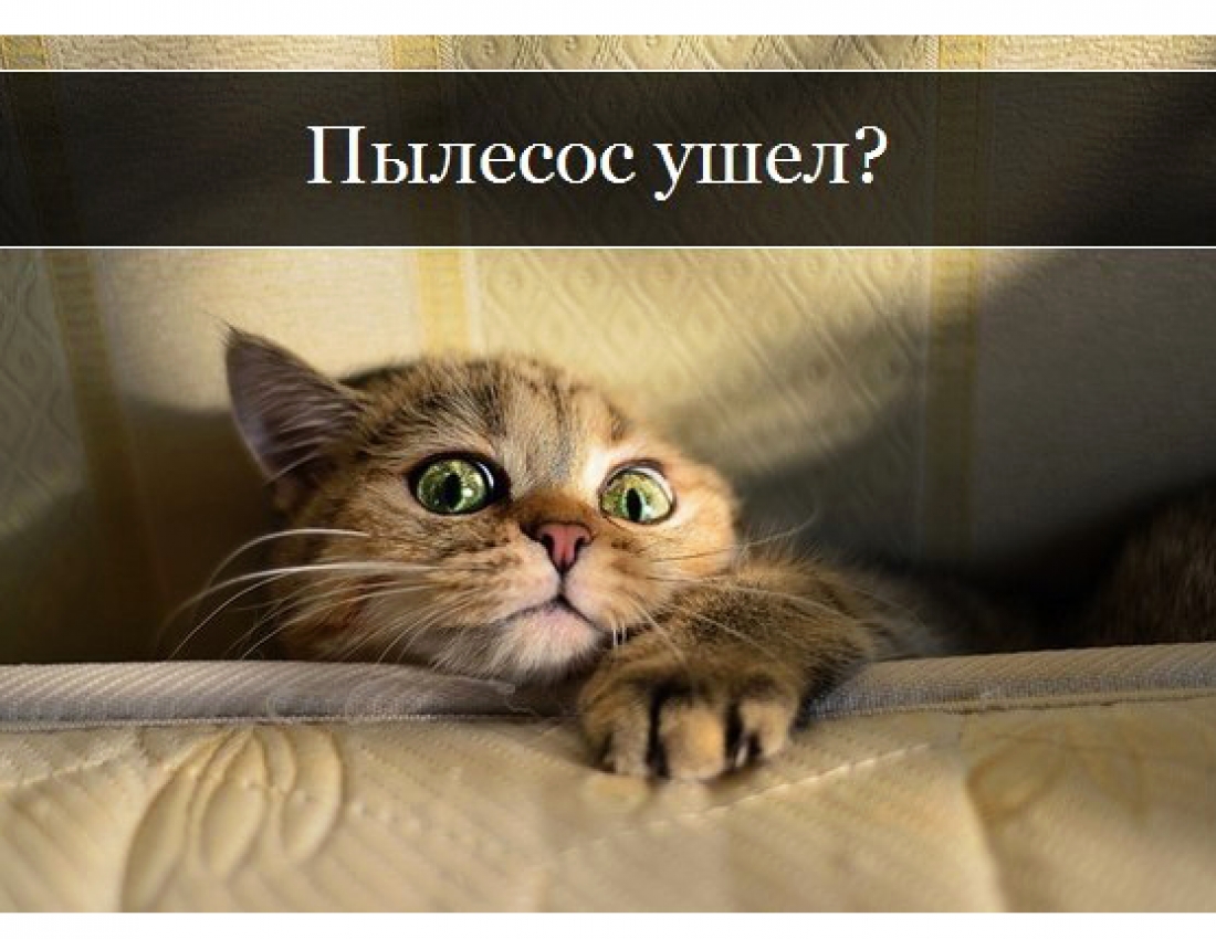 Пылесос ушел???