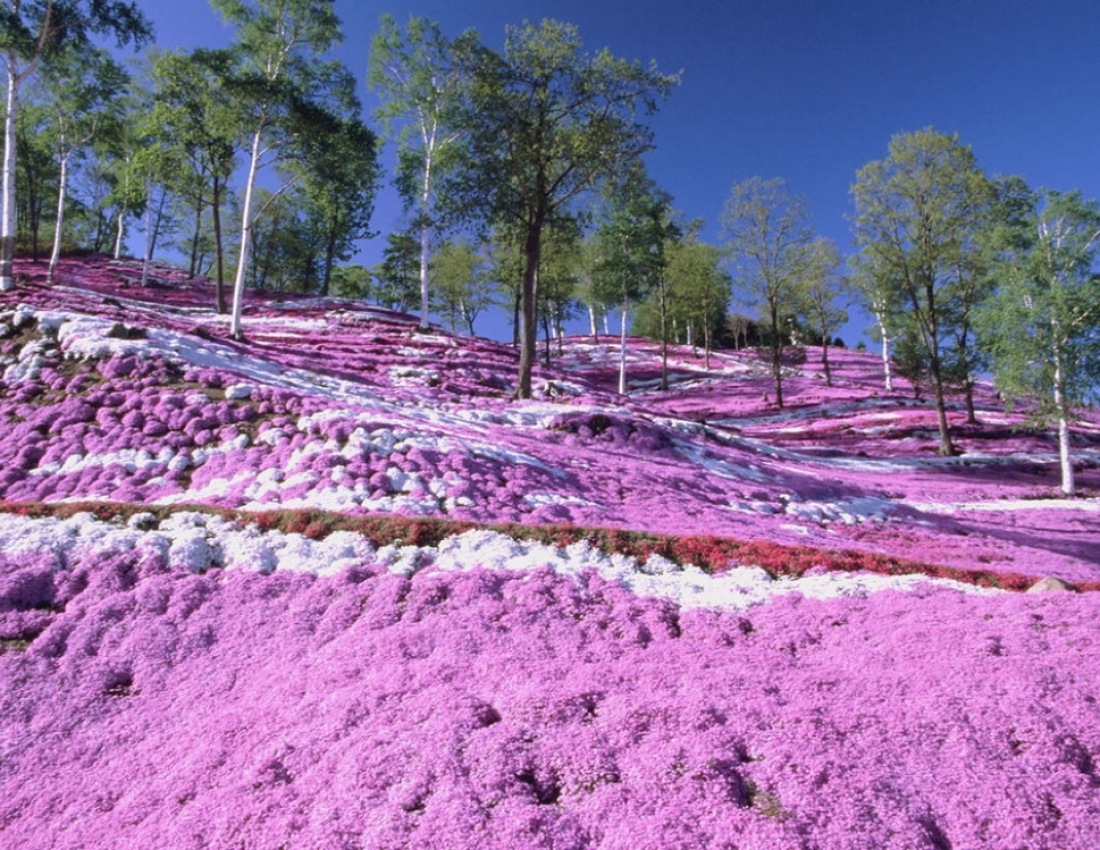 Місця на планеті, де природа не пожалкувала фарб