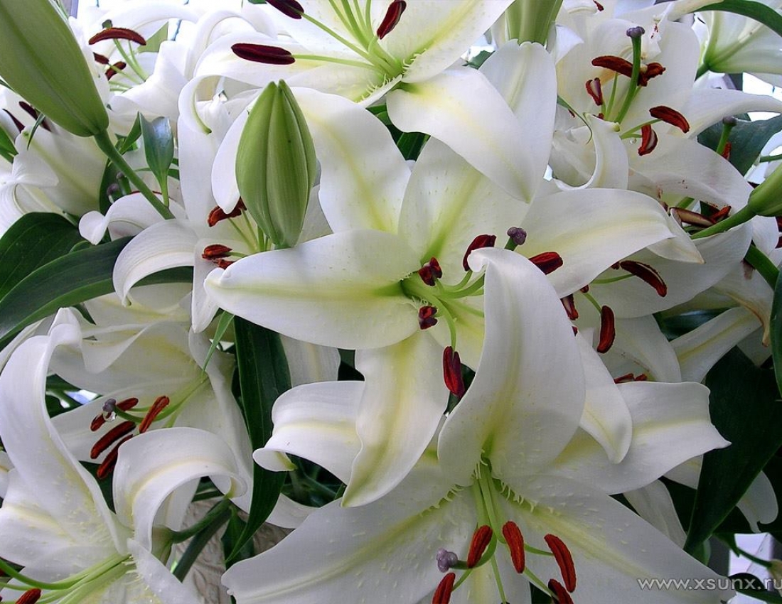 З літечком!!!