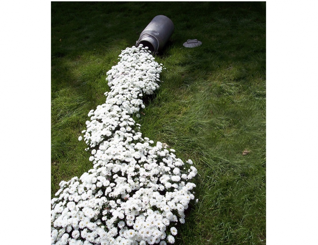 Квітуча ріка - молочні береги...