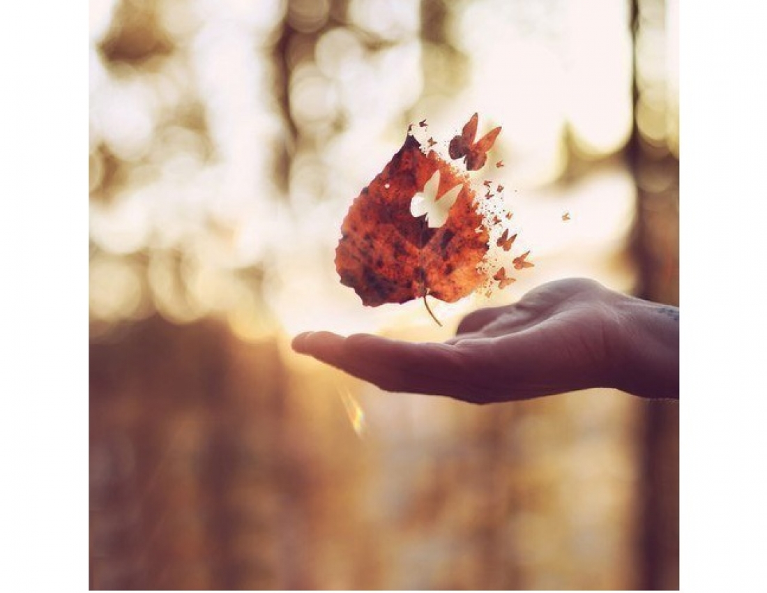 Мрії осені!..