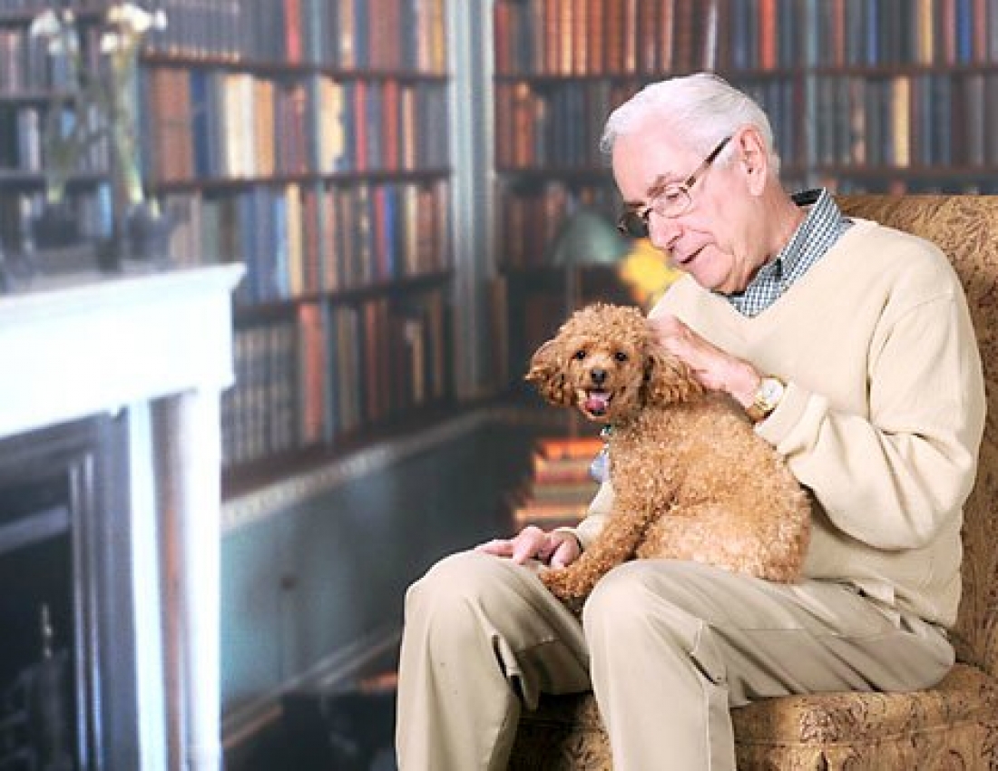 Коли тварини більше, ніж друзі ...