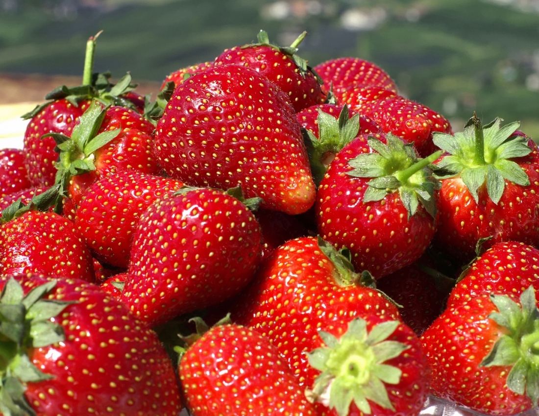 Вітамінне підкріплення. Уже зовсім СКОРО!!!