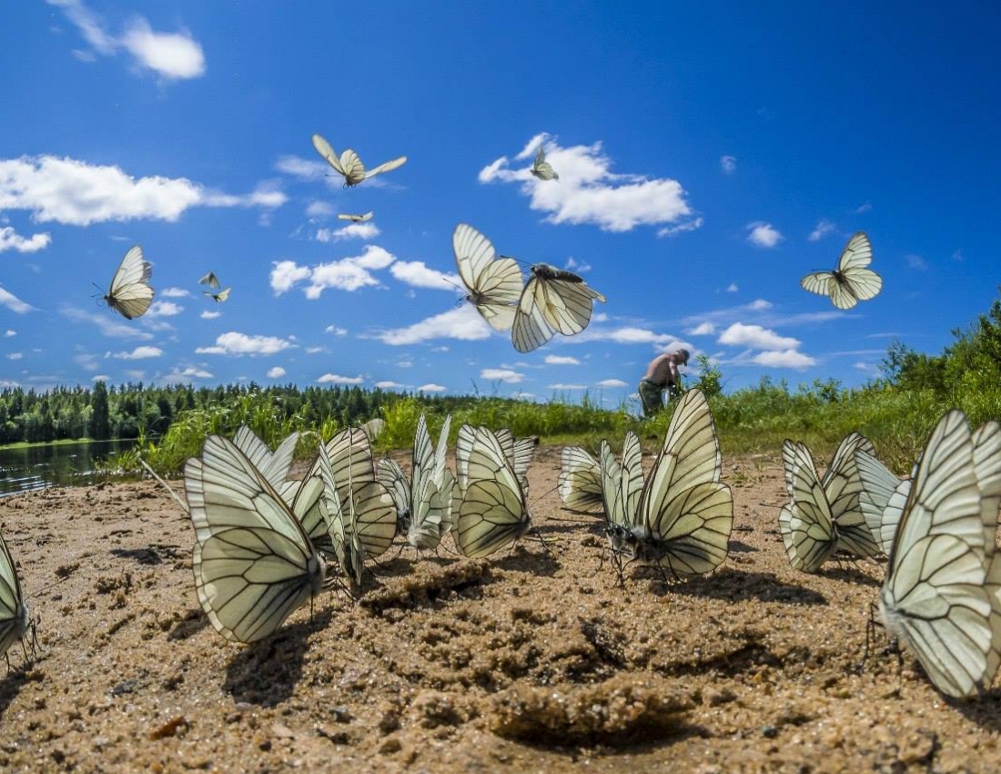 Цікавий світ природи - 4