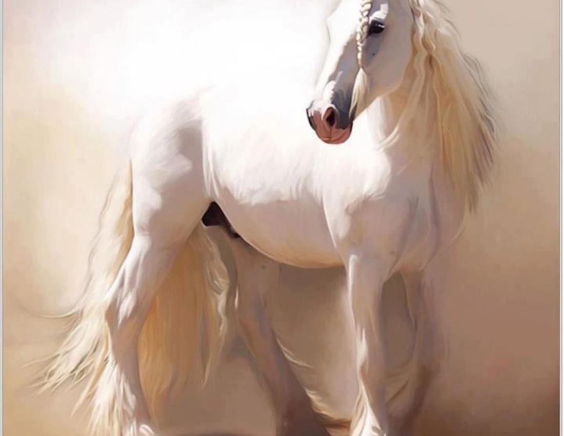 Кони белые несут. Художник Paul Miners. Белая лошадь. Красивая белая лошадь. Лошадь с пышной гривой