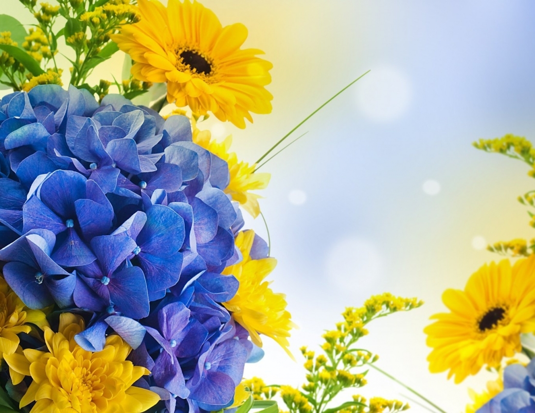 З Днем Незалежності!