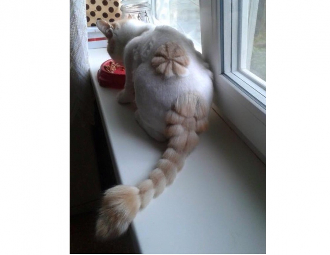 Хто це? Що це? Нові казкові герої???