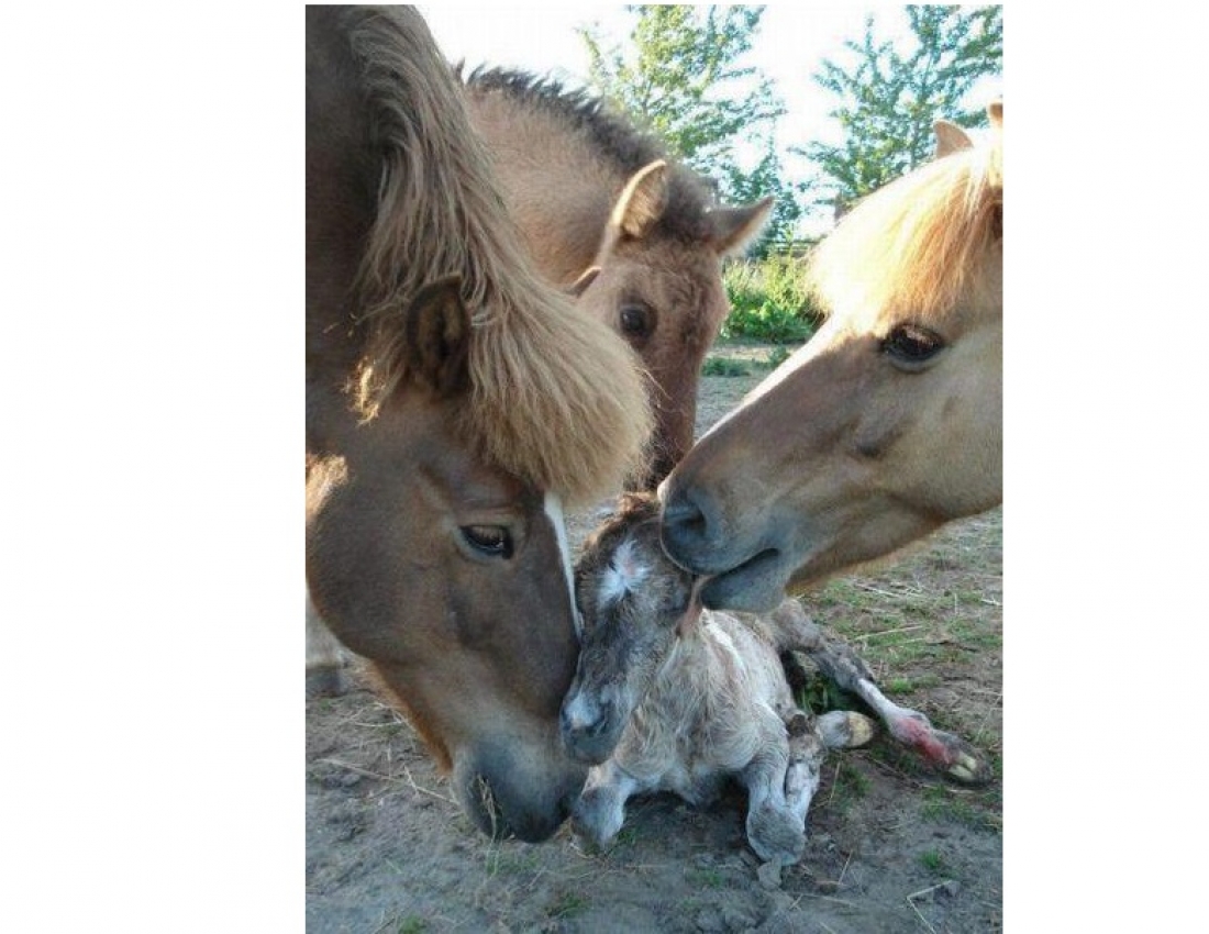 Та, кого не можна не любити... МАМА...