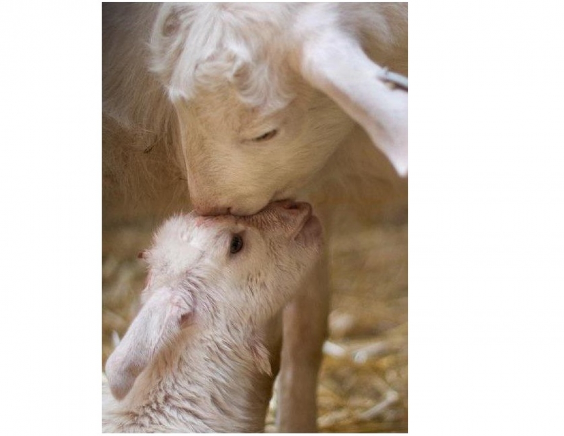 Та, кого не можна не любити... МАМА...