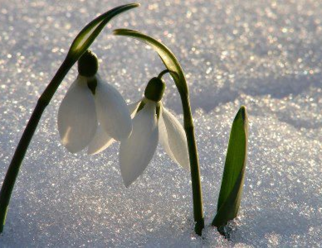 Весняного настрою!