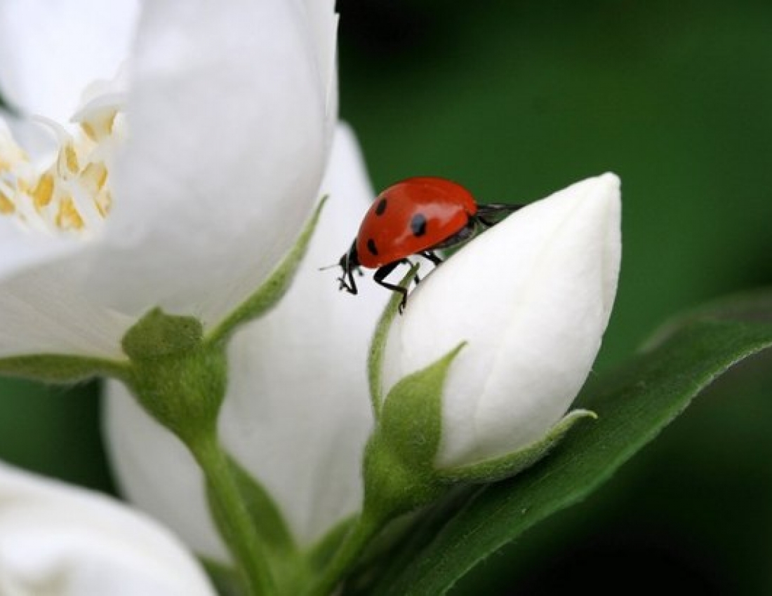 Have a nice week!
