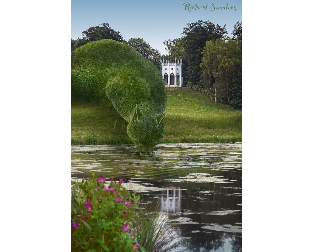 Дива топіарного мистецтва ... або котики-кущики