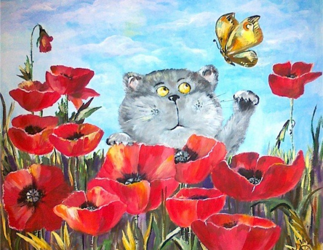 Позитив :-) :Котики та літо