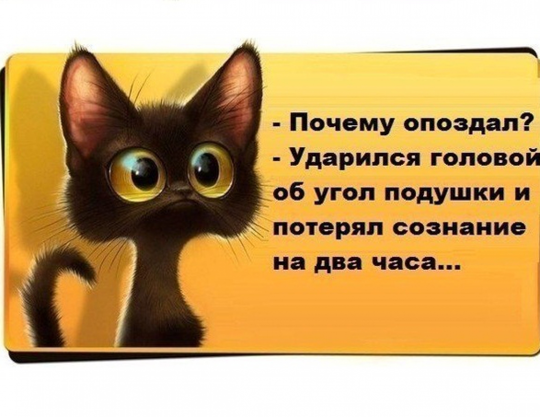 Причины всех опозданий ... :-) Причины всех опозданий ... :-)