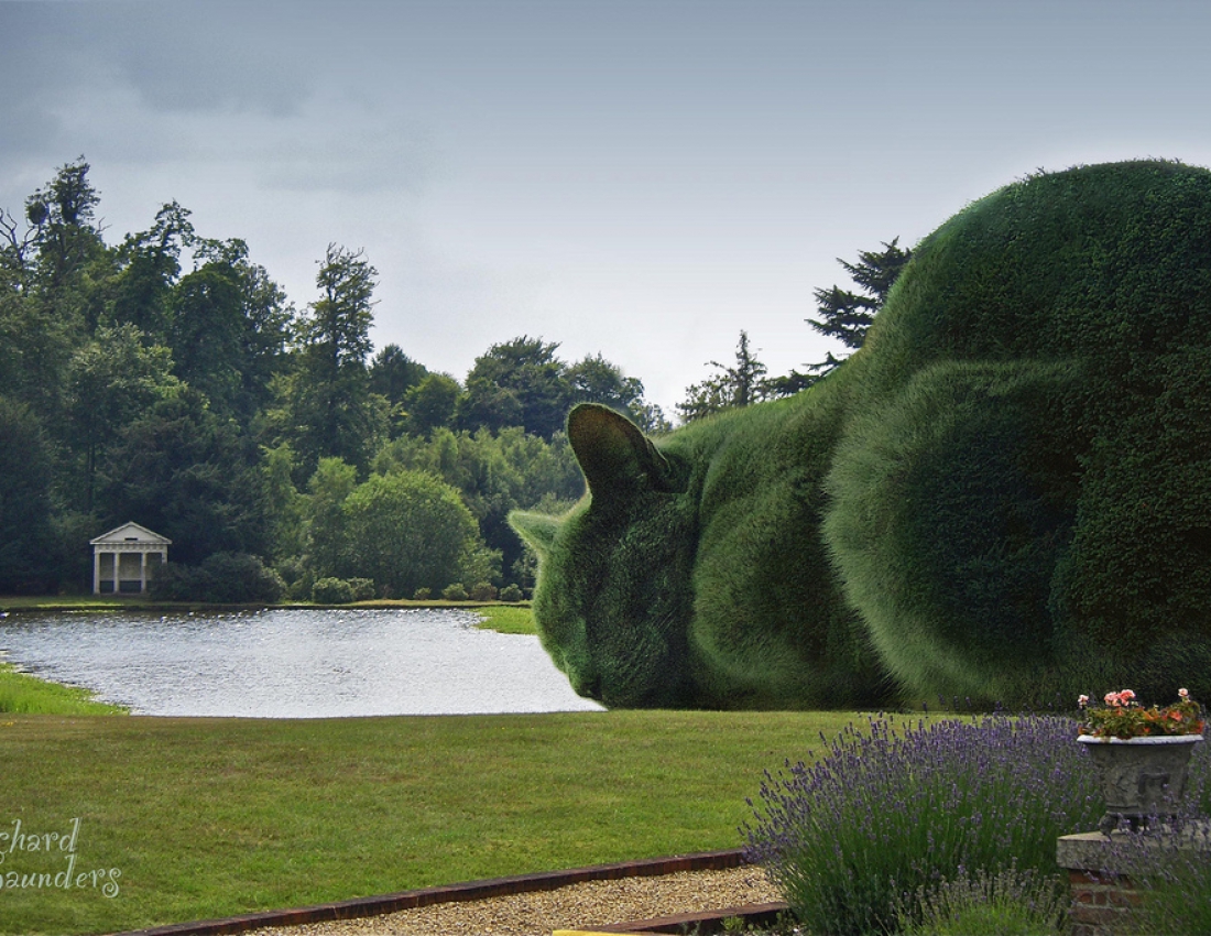 Дива топіарного мистецтва ... або котики-кущики
