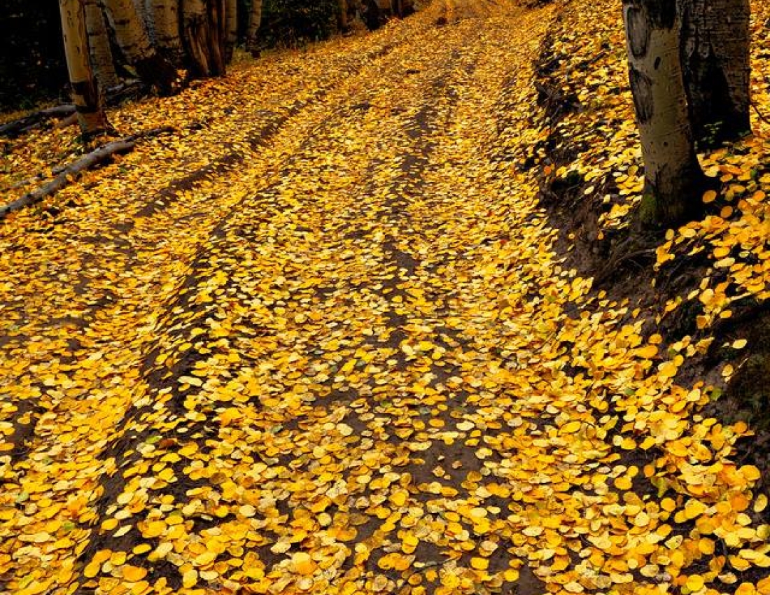 Краса навколо нас...