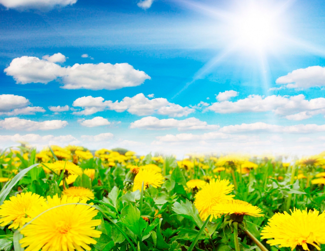 Блакитно-жовта та Жовто-блакитна краса нашого світу!