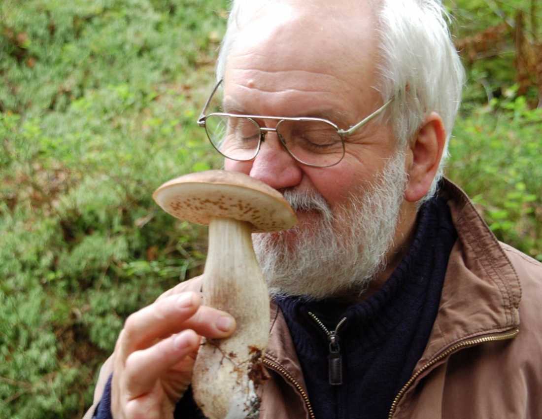 Грибний сезон у розпалі!..