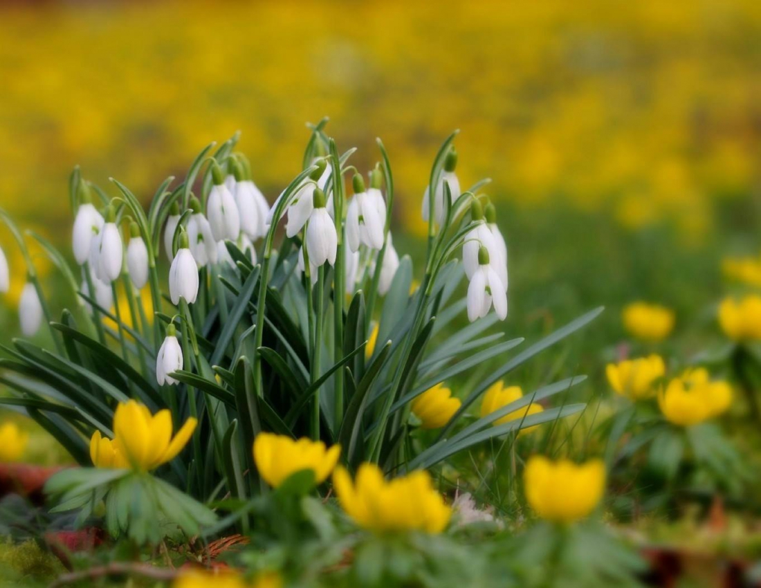 In der Frühlingsstimmung!