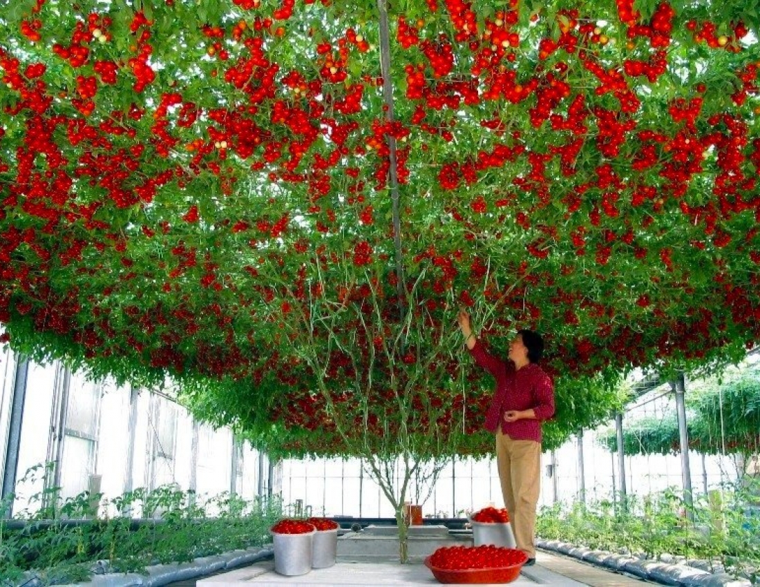 Світ, в якому ти живеш - 2