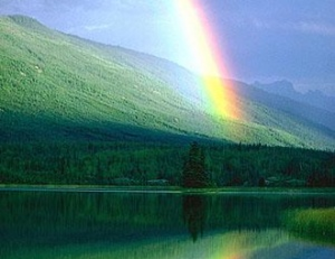 Радість після грози