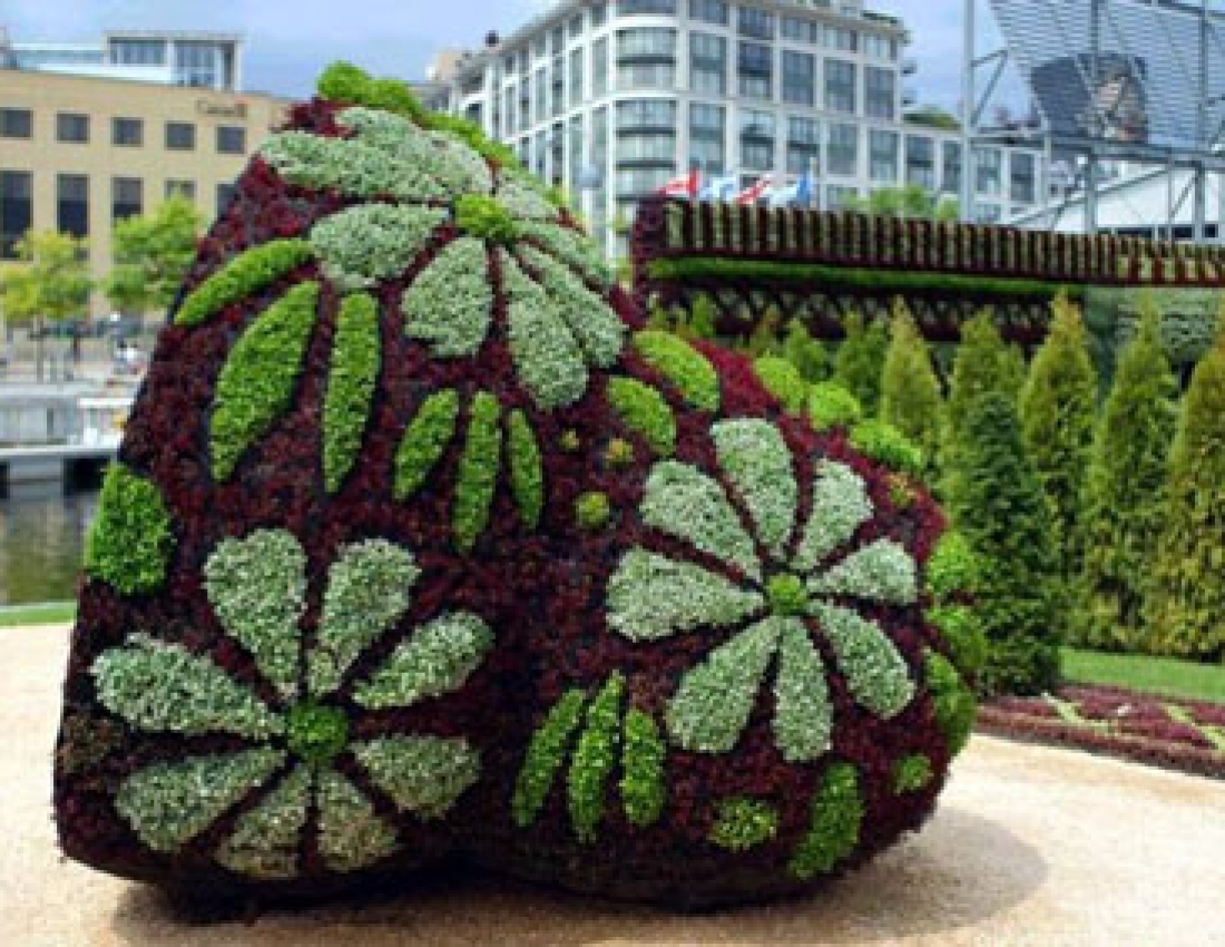 Топіарне мистецтво - це вражає!