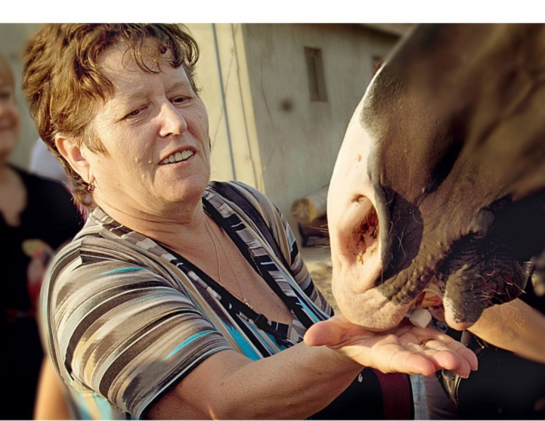 Фото тижня - 21.09.2015р.