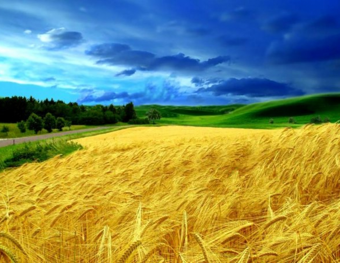 Блакитно-жовта та Жовто-блакитна краса нашого світу!