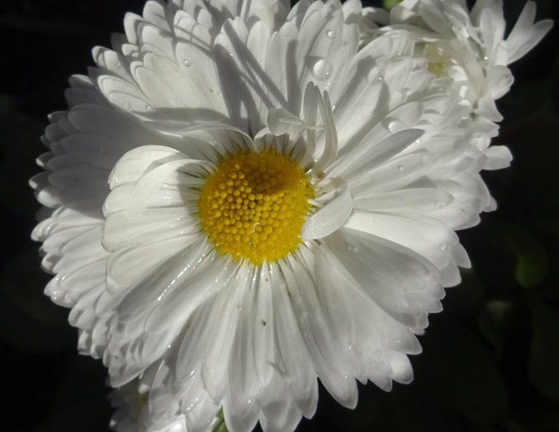 Ніяке ВВП не може змінити краси нашого світу! Гарного Вам дня!