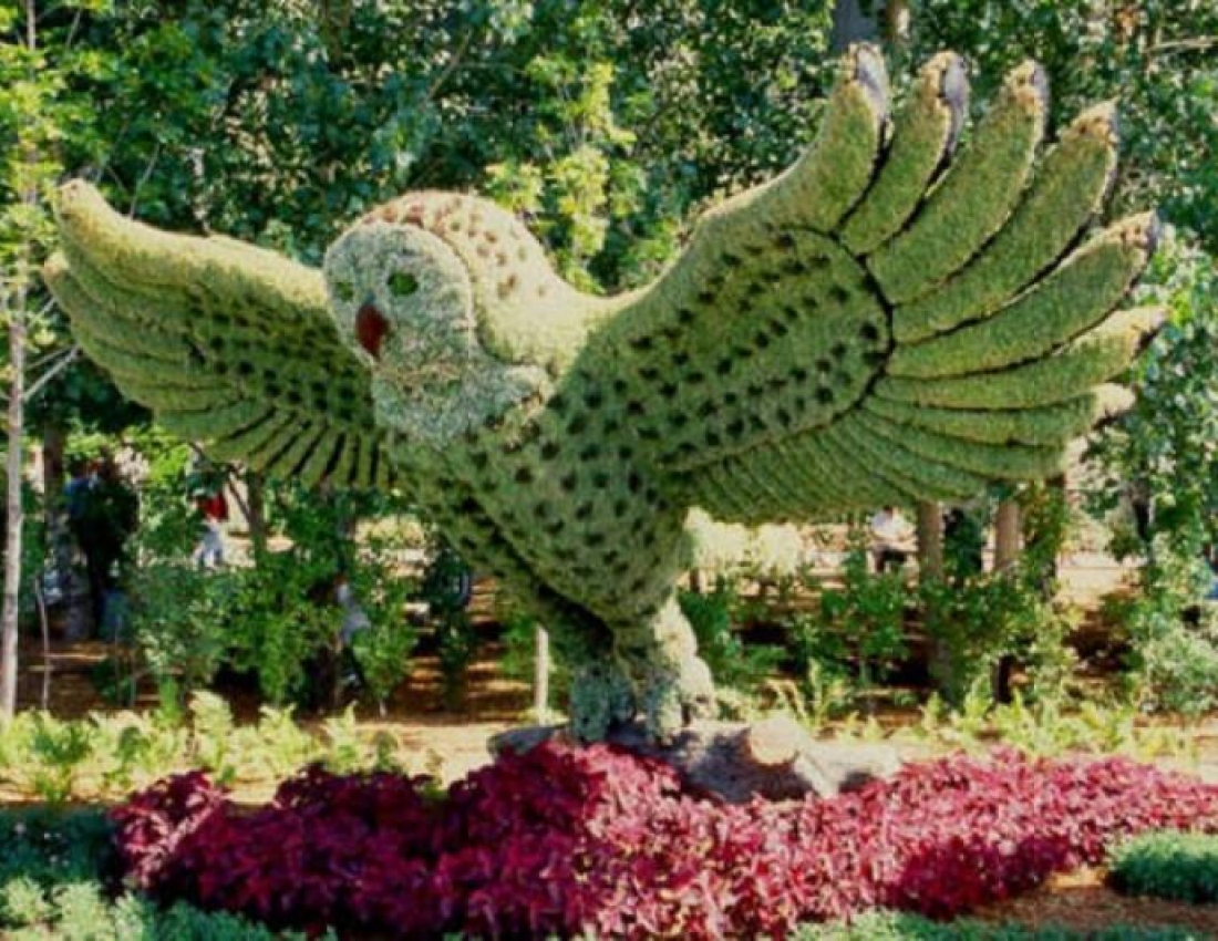 Топіарне мистецтво - це вражає!