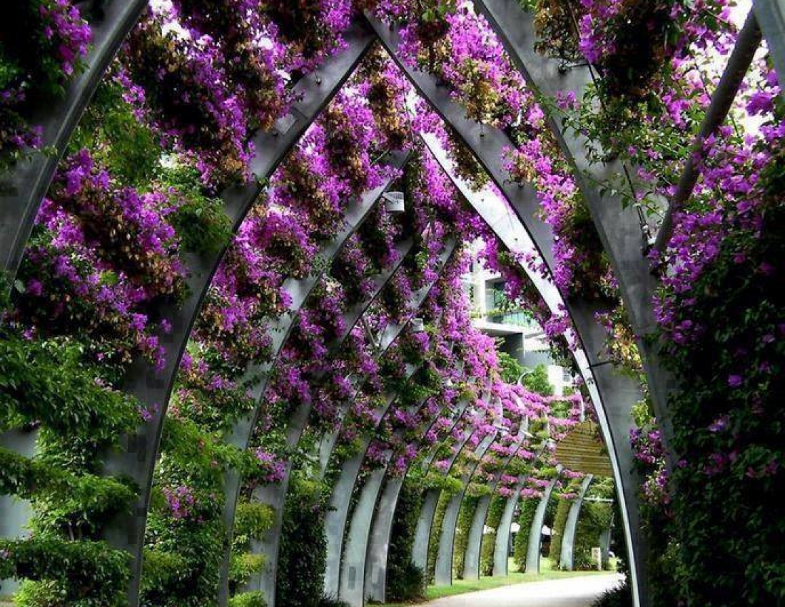 Магія квіткових арок