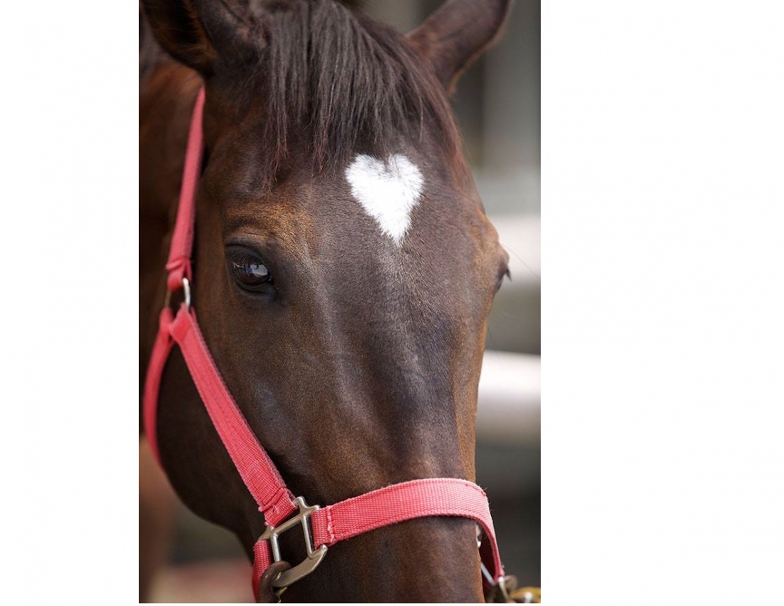 Природа щось хотіла сказати???