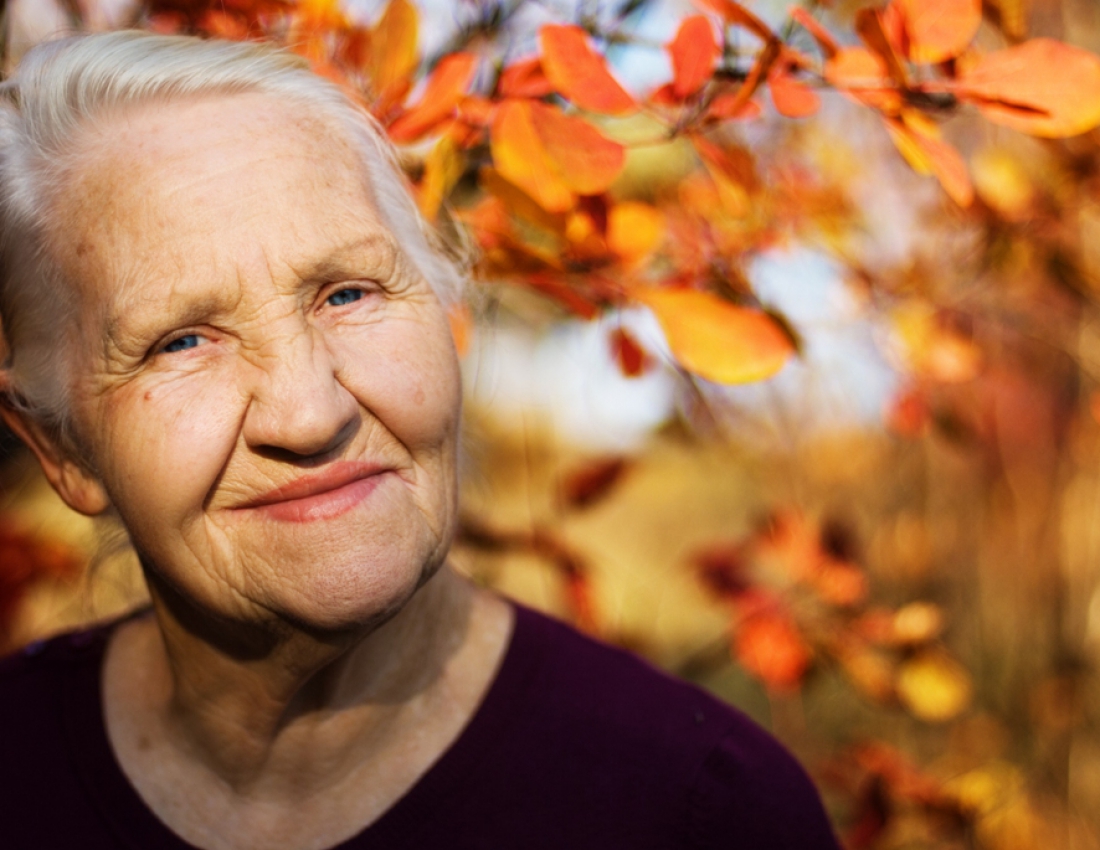 Фото тижня - 09.11.2015р.